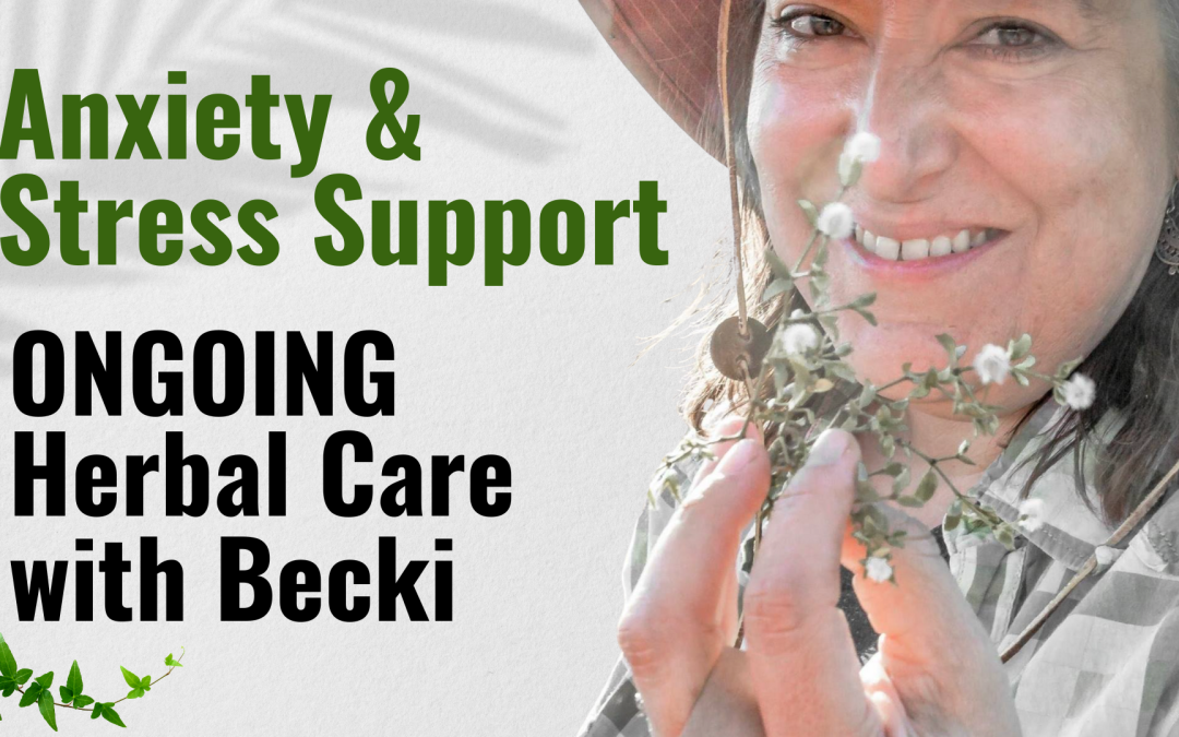 Anxiety & Stress Support — Ongoing Herbal Care with Becki