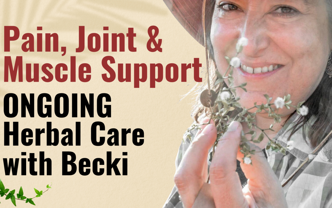 Pain, Joint & Muscle Support — Ongoing Herbal Care with Becki