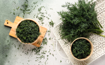 Adaptogens Explained