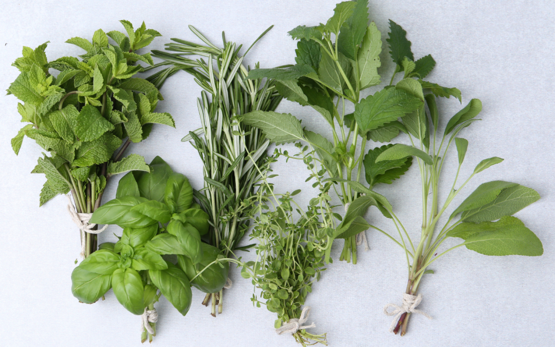 What Happens in an Herbal Consultation (and Why Custom Formulas Matter)