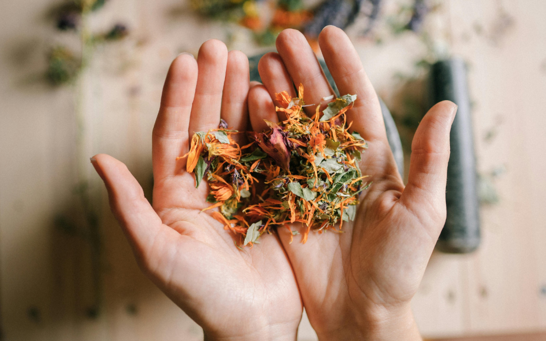 “Green Noise” and Tonic Herbs: A Daily Herbal Practice for Nervous System Support