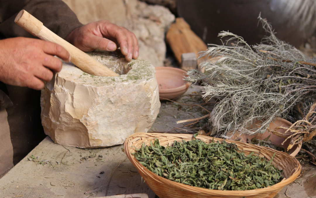 Whole Herb vs. Extract: Why Turmeric Isn’t the Same as Curcumin